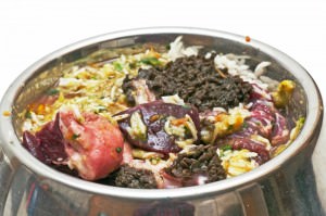 BARF Jack Russell Ernährung