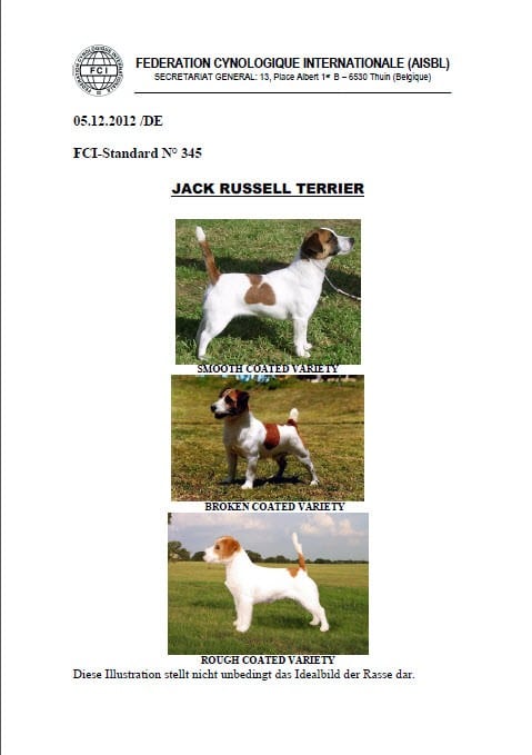FCI Standard No 345 Jack Russell Terrier