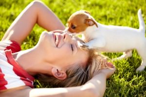 Freude und Arbeit mit dem Jack Russell