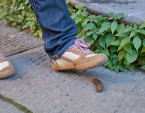 Kot aufsammeln auf der Strasse