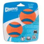idealer Ball zum Apportieren: Jack Russell beschäftigen idealer Ball zum Apportieren: Jack Russell beschäftigen
