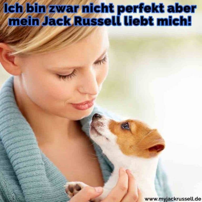 Jack Russell Zitate und Sprüche JackRussell.de