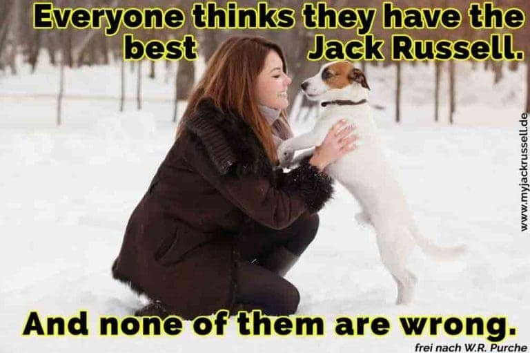 Jack Russell Zitate und Sprüche JackRussell.de