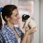 Jack Russell kaufen - Worauf muss ich achten?