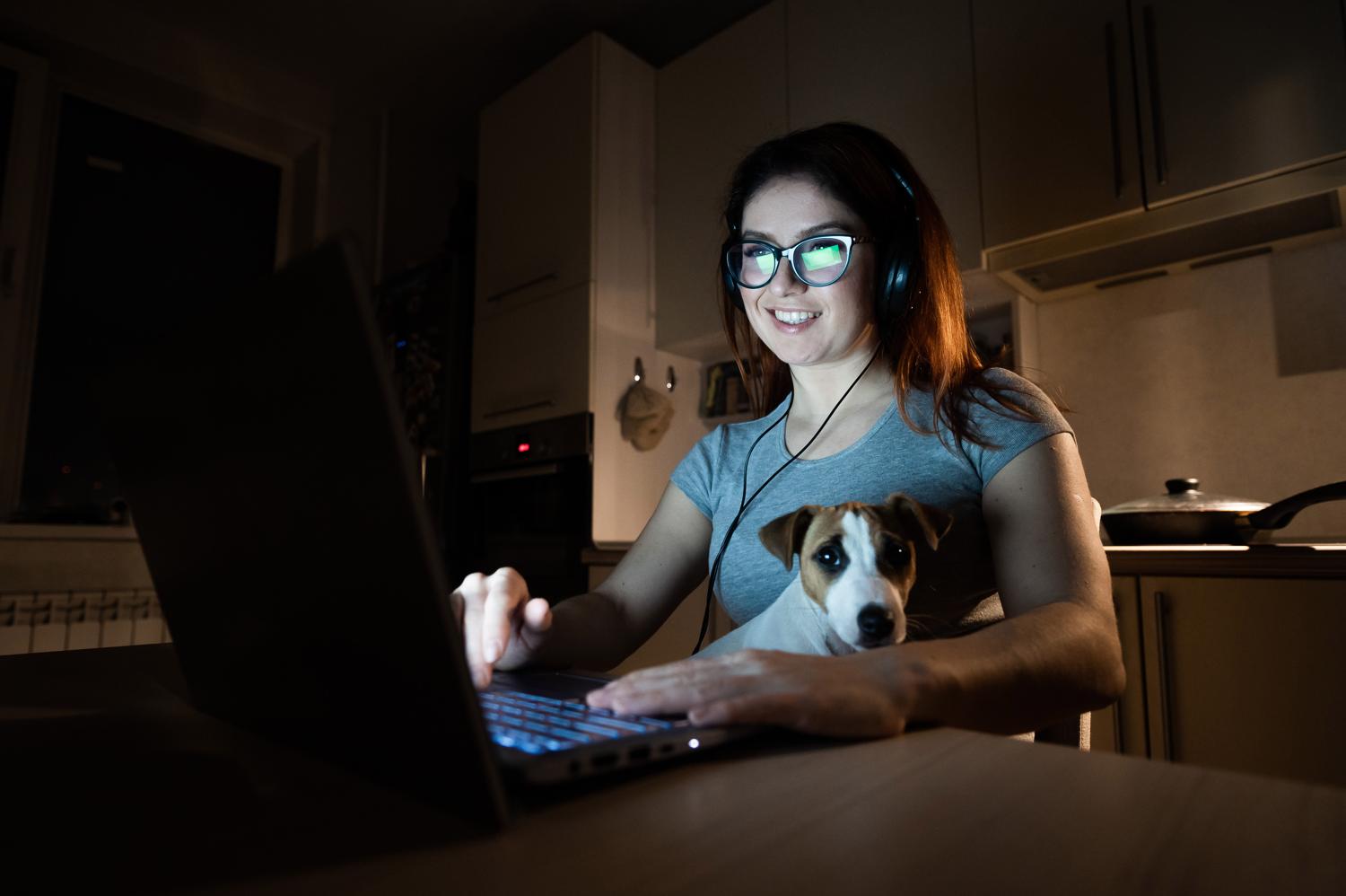 Jack Russell Kleinanzeige erneuern