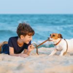 Mit dem Jack Russell in den Urlaub fahren.
