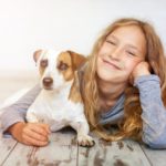 Macht es Sinn einen Jack Russell als Anfänger zu kaufen?