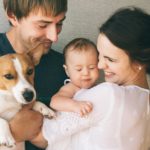 Wie gewöhne ich unseren Jack Russell an das neue Baby im Haus?