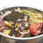 Welches Futter für Jack Russell?