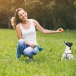 Wie schwer ist es einen Jack Russell Terrier zu erziehen?