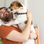 Warum einen Jack Russell?