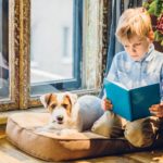 Was muss man über Jack Russell Terrier wissen?