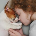 Ist ein Jack Russell Terrier für Kinder geeignet? Wie gut verstehen sich Jack Russell mit Kindern?
