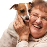 Wie alt wird ein Jack Russell?