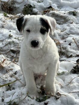 Miniaturansicht für das Anzeigenbild