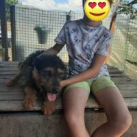 Entzückende Welsh-Terrrier-Mix-Hündin BORA, 6 Jahre - sucht noch (Stand: 27.03.25)