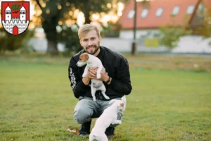 Mehr über den Artikel erfahren Jack Russell Züchter und Welpen in Eschwege