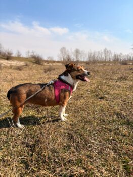 Miniaturansicht für das Anzeigenbild