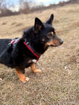 Miniaturansicht für das Anzeigenbild