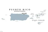 Jack Russell Züchter in Puerto Rico,Estado Libre Asociado de Puerto Rico Jack Russell Züchter in Puerto Rico,Estado Libre Asociado de Puerto Rico