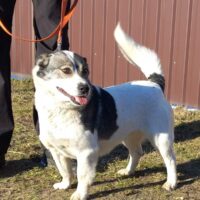 💔SONYA💔 2,5 Jahre💔35-40 cm