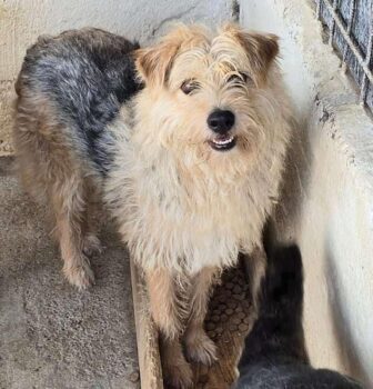 Miniaturansicht für das Anzeigenbild