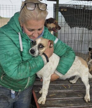 Miniaturansicht für das Anzeigenbild