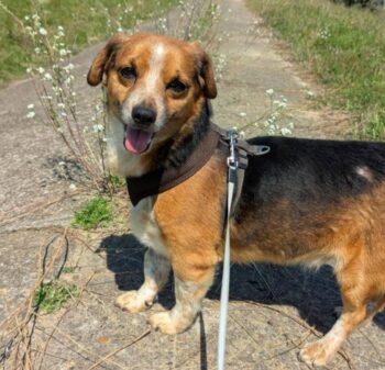 Miniaturansicht für das Anzeigenbild