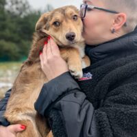 🍀🎉RESERVIERT🎉🍀🙏Wer hat ein Zuhause für Lulu???🙏🧡