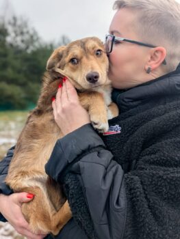 🍀🎉RESERVIERT🎉🍀🙏Wer hat ein Zuhause für Lulu???🙏🧡