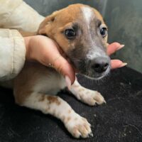 TALI - Sieht mich denn niemand?