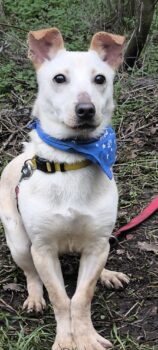 Djino sucht seine Familie:)