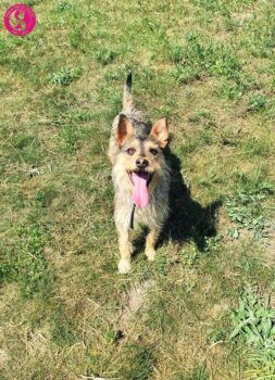 Miniaturansicht für das Anzeigenbild