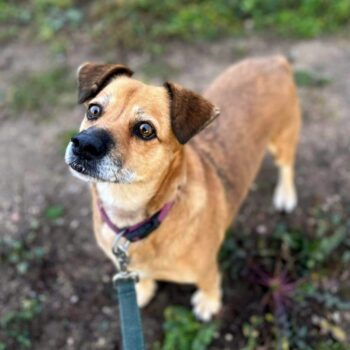 Miniaturansicht für das Anzeigenbild