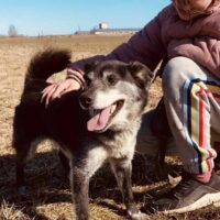 Jukis: Rüde • geb.ca. 2018-2020 • 45cm