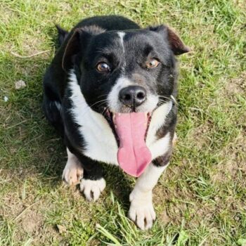 Miniaturansicht für das Anzeigenbild