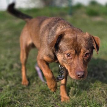 Miniaturansicht für das Anzeigenbild