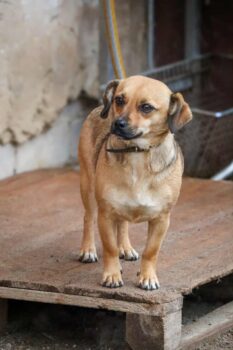 Miniaturansicht für das Anzeigenbild