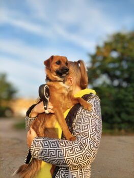 Miniaturansicht für das Anzeigenbild