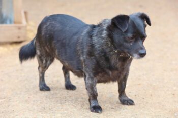 Miniaturansicht für das Anzeigenbild