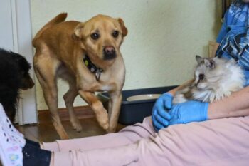 Miniaturansicht für das Anzeigenbild