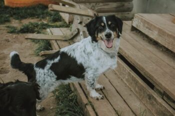 Miniaturansicht für das Anzeigenbild