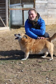 Miniaturansicht für das Anzeigenbild