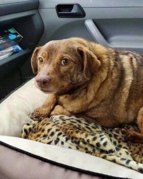 Miniaturansicht für das Anzeigenbild