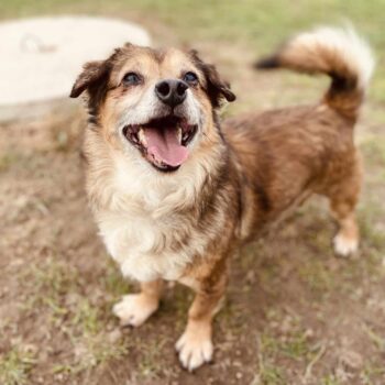 Miniaturansicht für das Anzeigenbild