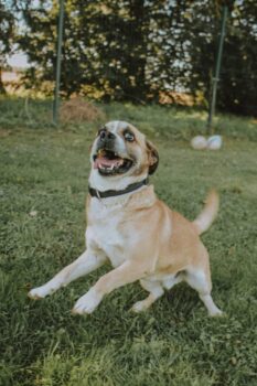 Miniaturansicht für das Anzeigenbild