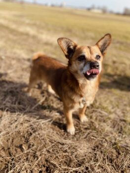 Miniaturansicht für das Anzeigenbild
