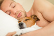 dog and owner in bed